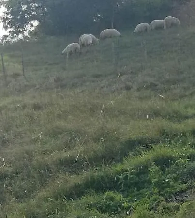 Frühstückspension Sladja Glamoc