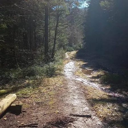 Frühstückspension Sladja *